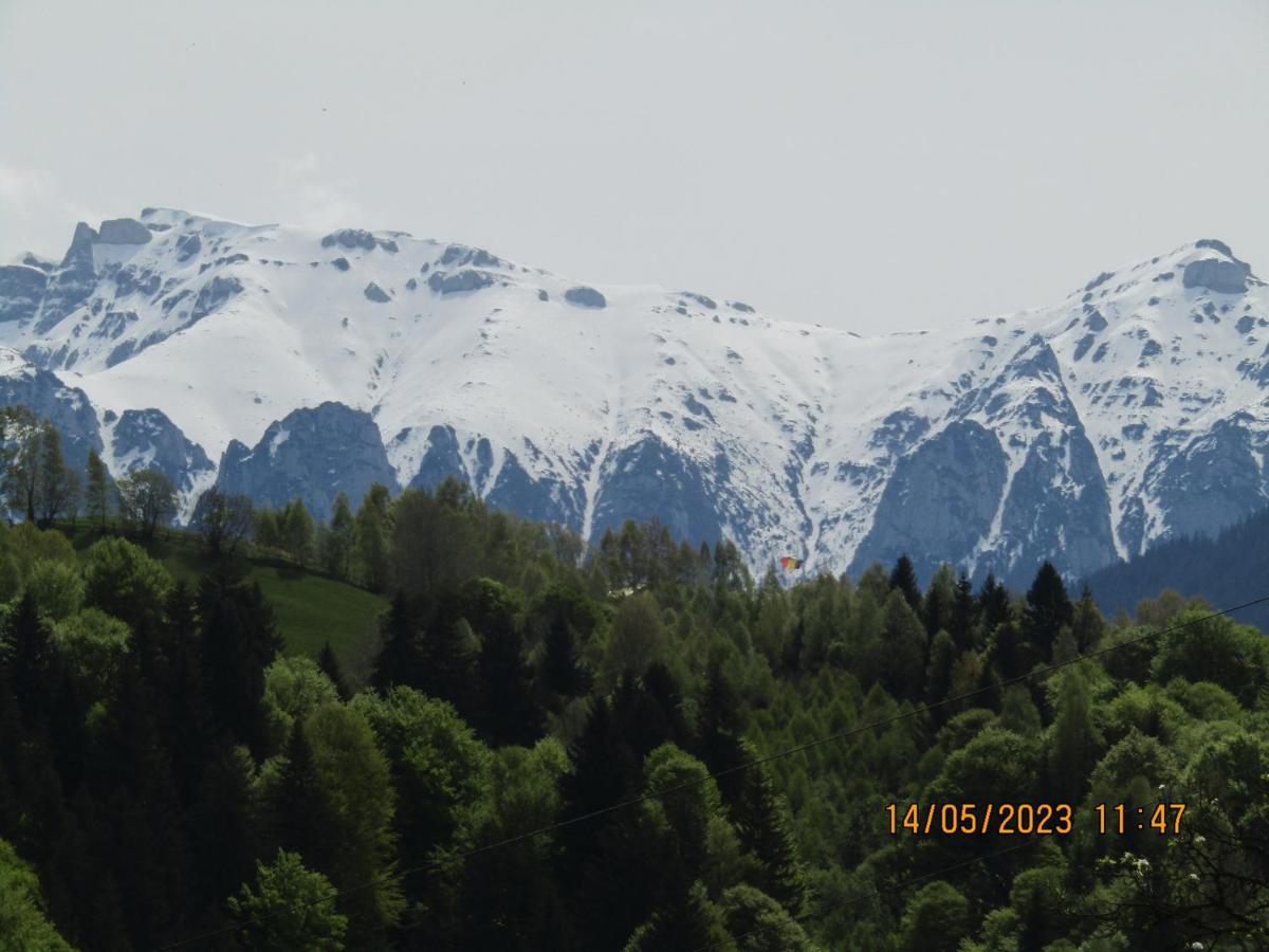 فيلا Ograda De La Munte برانْ المظهر الخارجي الصورة